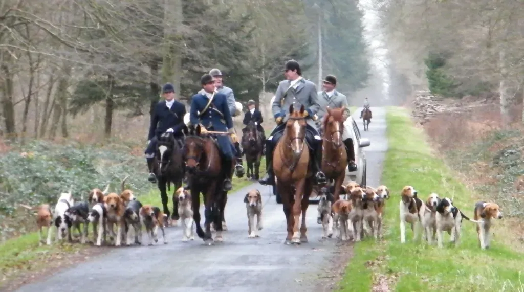 Chasse_a_courre_Foret_de_Crecy-1024x571.webp