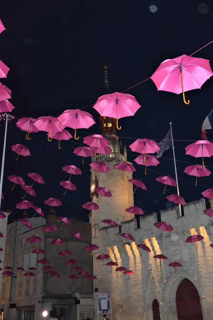 Octobre_Rose_2020_a_La_Rochelle_38-683x1024.webp