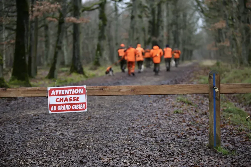 La chasse représente-t-elle vraiment la ruralité ?