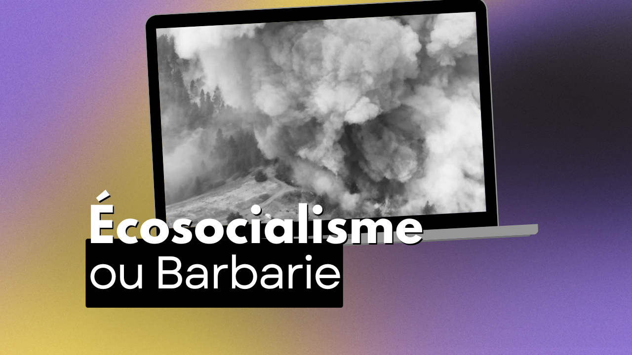 Écosocialisme ou barbarie