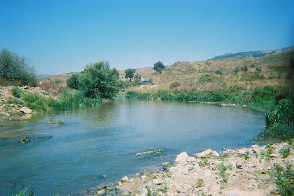 image-1-1024x686.png