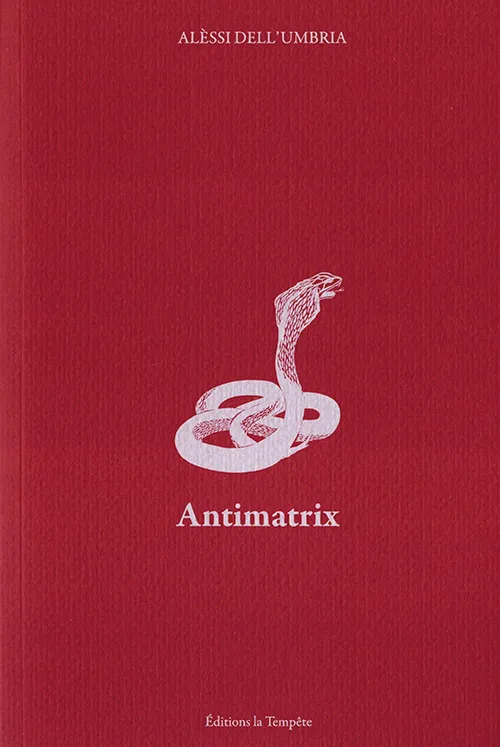 image-2.png