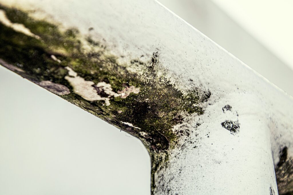 michael-schaffler-_6Ae1LgFFFA-unsplash-1024x683.jpg