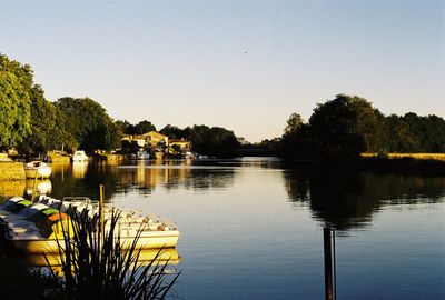 optimiste